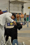 Greg putting Max in stack