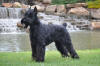 Max side profile 2