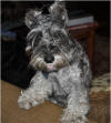 Esther