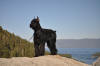 Max at Lake Tahoe (Sep 2009)